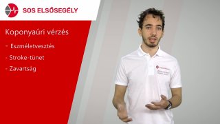 Fej, mellkas, has sérülés