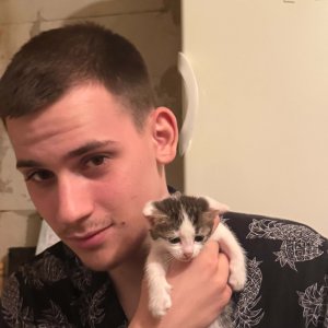 Török Viktor